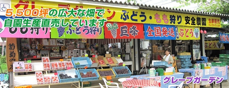 03.jpg